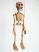 Skelet-marionetka-vk071b|dolls-puppets.com|Галерея-Чешскиe-марионетки-куклы