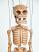 Skelet-marionetka-vk071c|dolls-puppets.com|Галерея-Чешскиe-марионетки-куклы