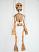 Skelet-marionetka-vk071e|dolls-puppets.com|Галерея-Чешскиe-марионетки-куклы